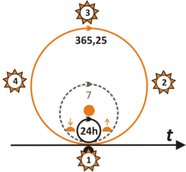 Basic Sun calendar